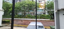 Emerald Hill Conservation Area (D9), Apartment #452116971